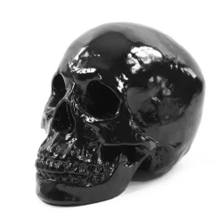 Skull Design