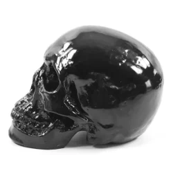 Skull Design