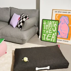 Square Pillow Teddy