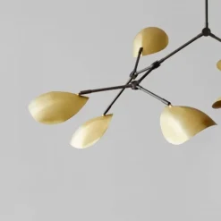 Stingray Chandelier