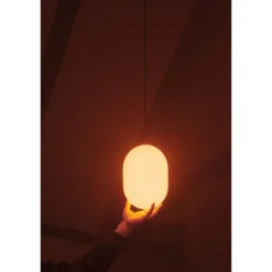 Sun Up
