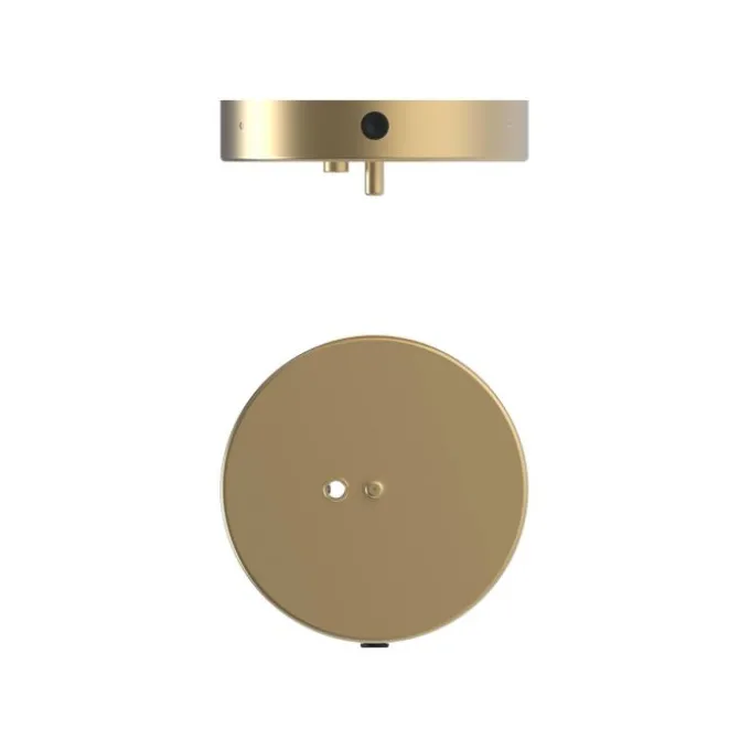 Suspension Apiales 18