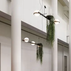 Suspension barre Palma