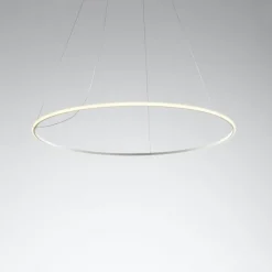 Suspension F45 Olympic