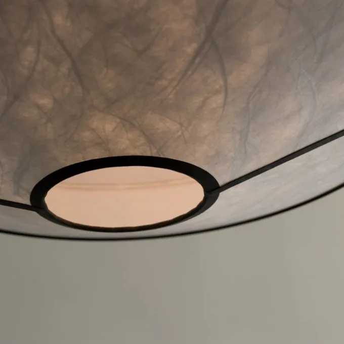 Suspension Kite