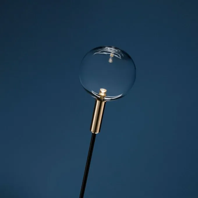 Syphasfera