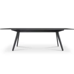 Table Slab - L 200 cm