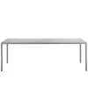 Table Tense - Pierre