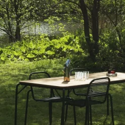 Table Vig Robinia