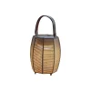 Tanit