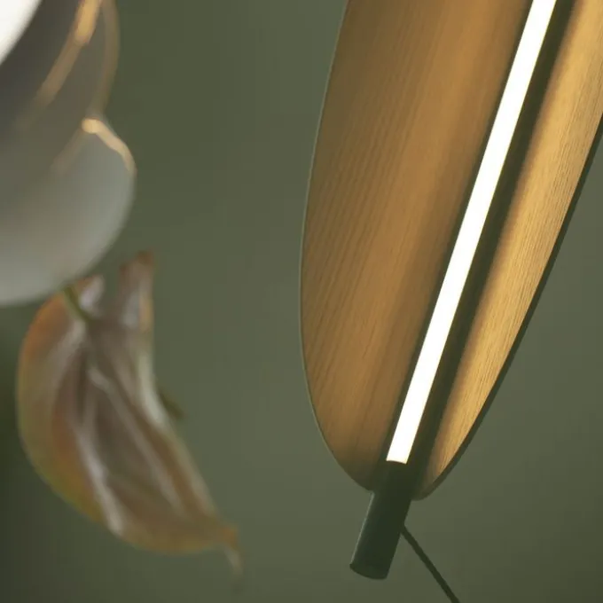Thula Suspension / 562.23