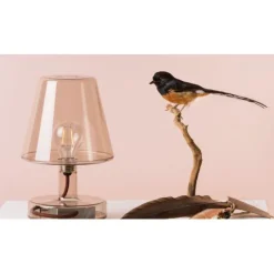 Transloetje