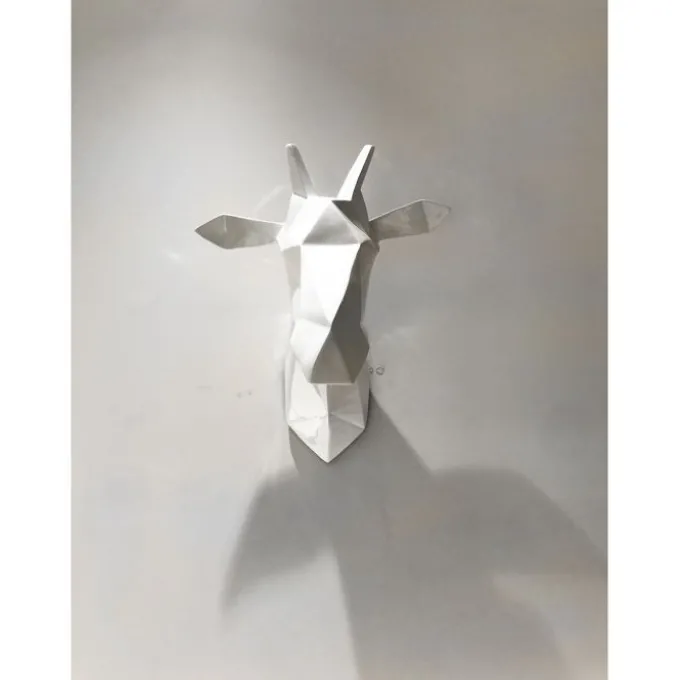 Tête de Girafon