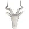 Tête d'Impala