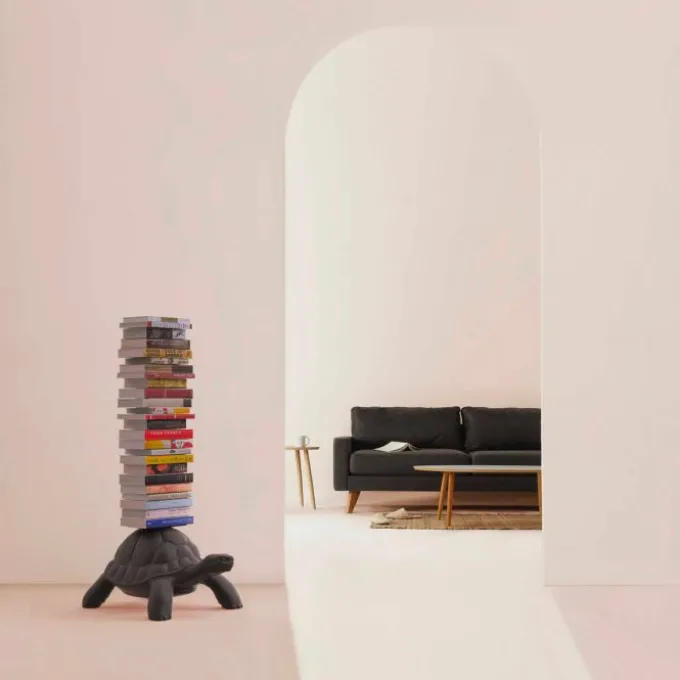 Turtle Carry Bookcase