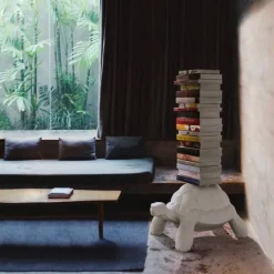 Turtle Carry Bookcase