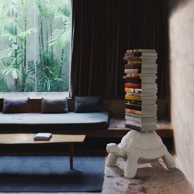 Turtle Carry Bookcase