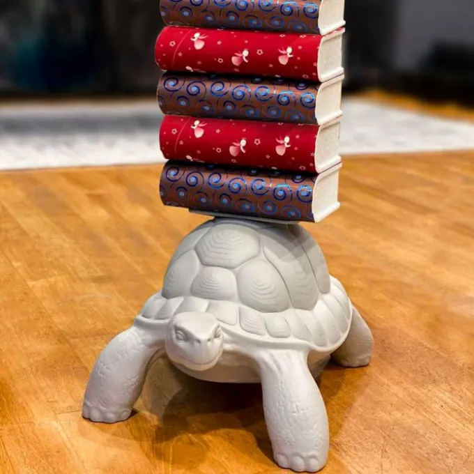 Turtle Carry Bookcase