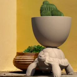 Turtle Carry Planter and Champagne Cooler