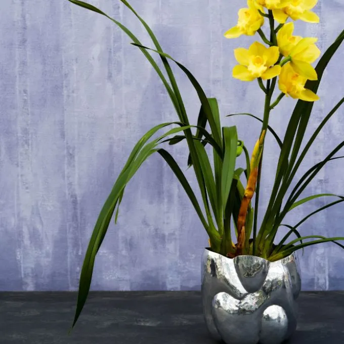 Vase Cloud Vessel Short