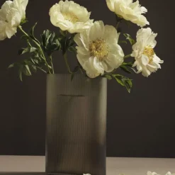 Vase Ridge