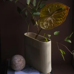 Vase Ridge