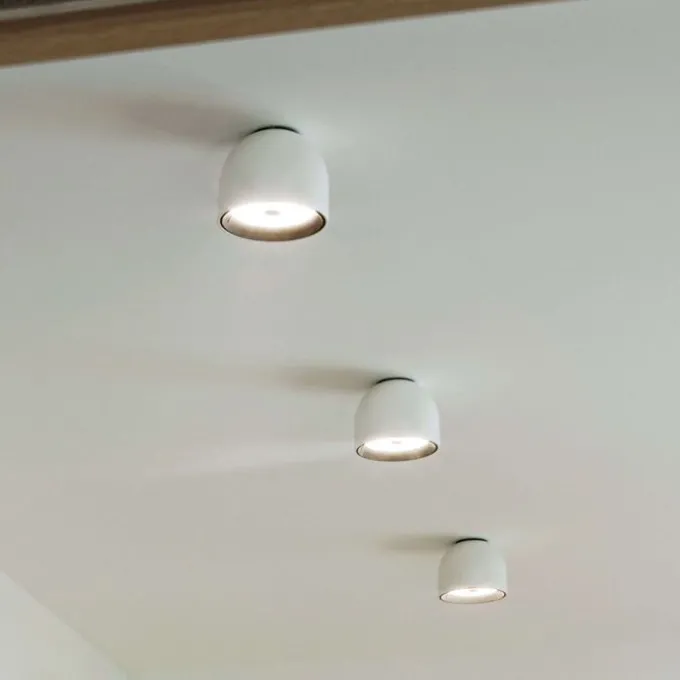 Wan