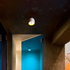 Wan